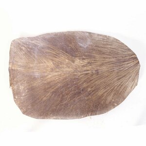 Geitenvel geschoren &empty;  60 cm, extra dik, Ivoorkust