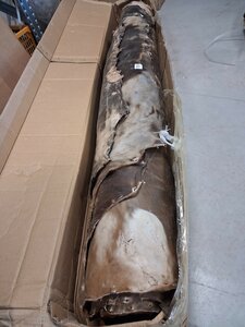 Koe vel &empty; 100 cm zeer dik, geprepareerd